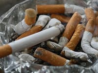 Wolni od tytoniu za 11 lat