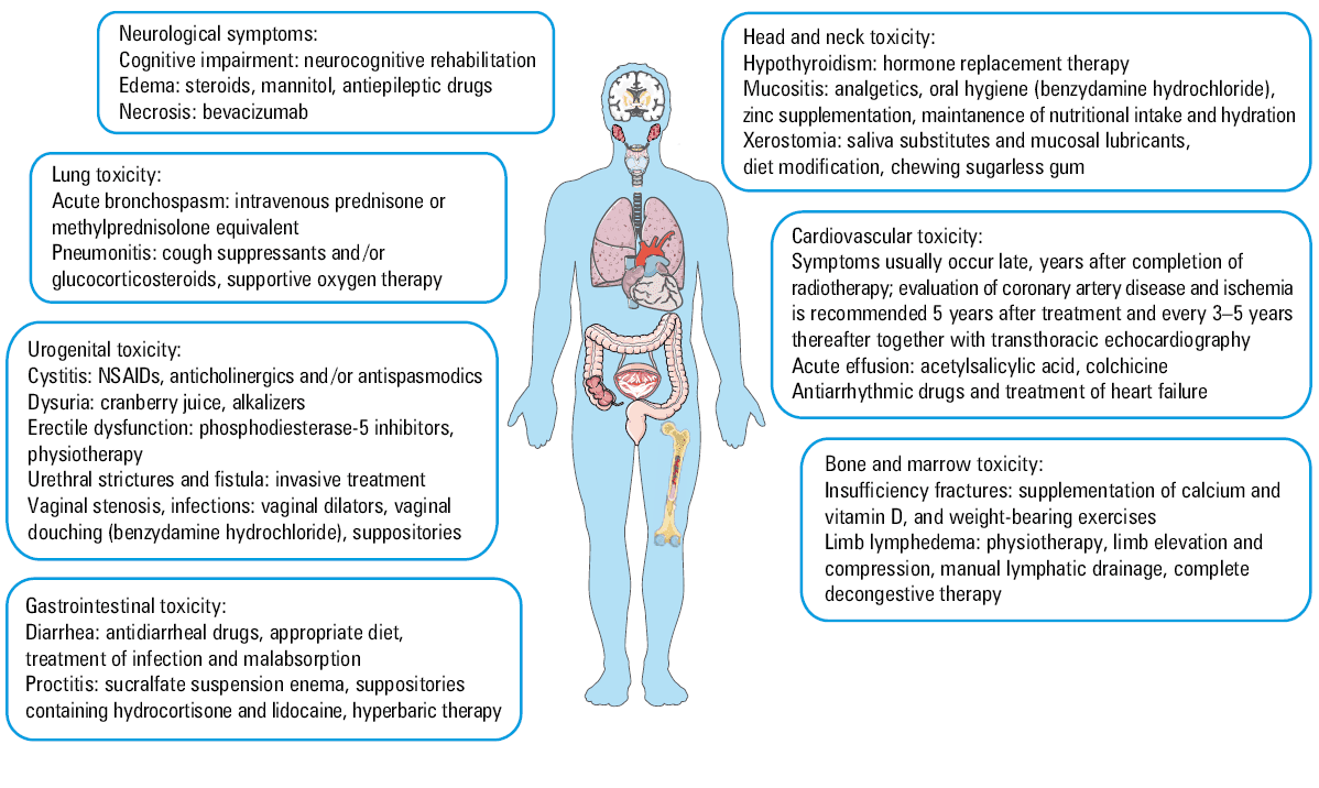 Timeline of expected side effects after radiation therapy of genitourinary cancers