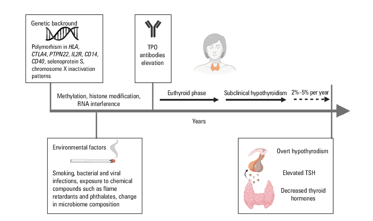Hashimoto thyroiditis: an evidence-based guide to etiology, diagnosis and  treatment