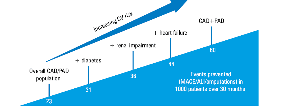 Practical indications for dual pathway inhibition in the patients with coronary artery diseasea In some countries, the presence of peripheral artery disease is needed for prescription and reimbursement.Abbreviations: ASA, acetylsalicylic acid; others, see Figures 1 and 2
