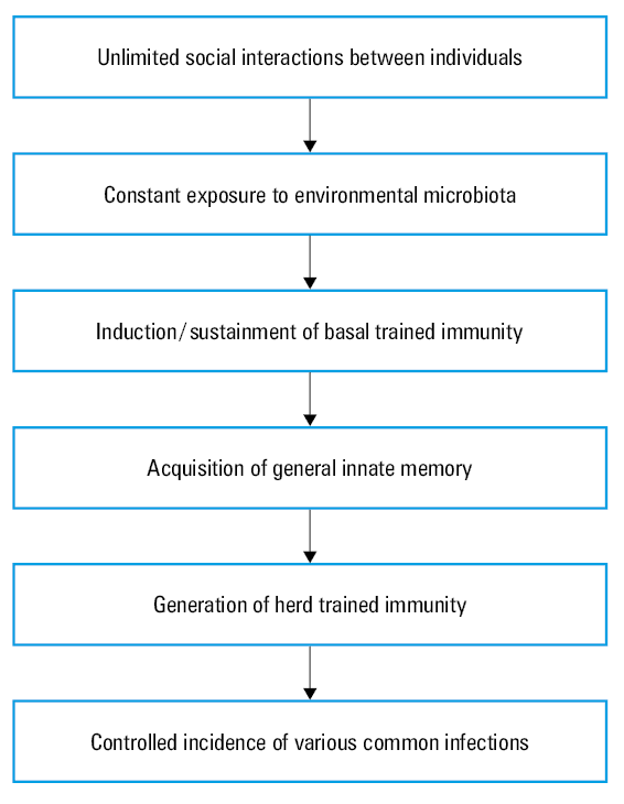Hypothetical impact of long-term pandemic lockdown on herd trained immunity (HTI). Herein, we summarize the sequence of major events responsible for the overthrow of HTI during the COVID-19 pandemic and the postpandemic increase in the incidence of some infectious diseases