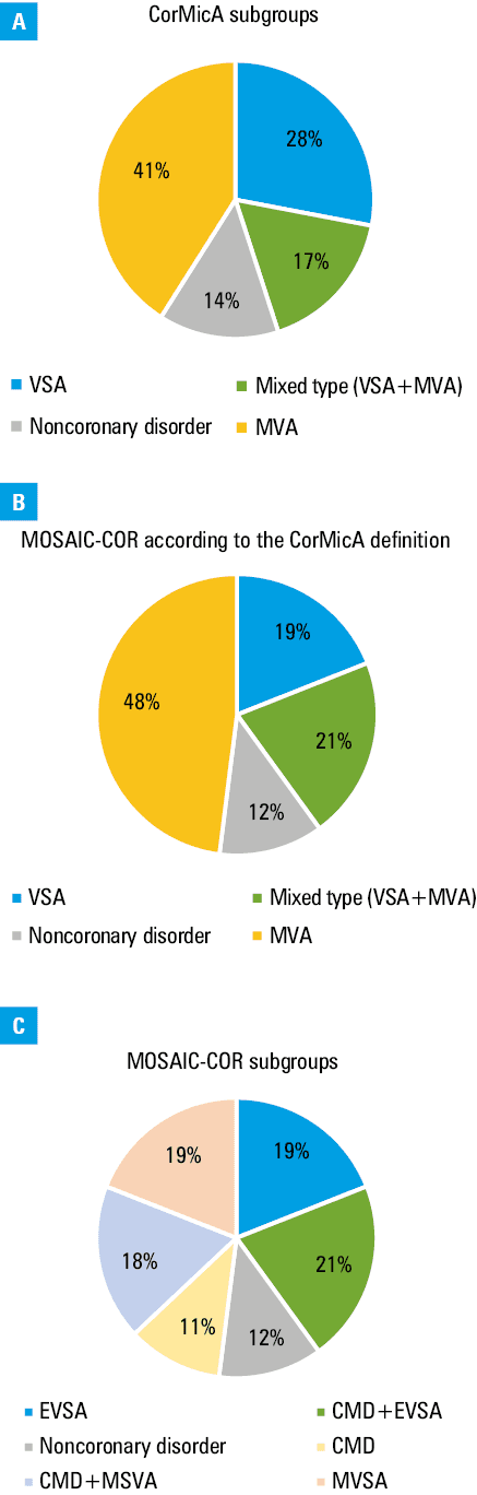 Size and characteristics of the study subgroupsAbbreviations: AH, arterial hypertension; CFR, coronary flow reserve; CVD, cardiovascular disease; ECG, electrocardiogram; FFR, fractional flow reserve; LVEF, left ventricular ejection fraction