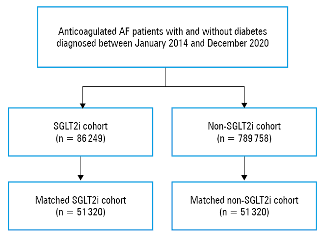 
      Forest plot demonstrating the risk of outcomes associated with sodium-glucose cotransporter 2 inhibitor use in the entire atrial fibrillation (AF) cohort, AF-diabetes cohort, and AF-heart failure cohort
      Abbreviations: AFl, atrial flutter; TE, thromboembolism; VA, ventricular arrhythmia; others, see Figure 1 and Table 1
    