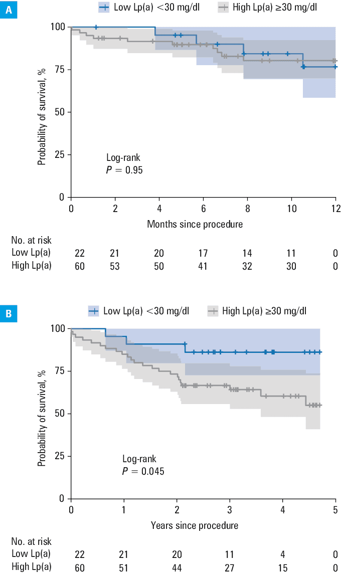 
      Subgroup analyses of the primary end points; A – subgroup analyses for MACCE (death, myocardial infarction, stroke, transient ischemic attack, heart failure worsening, reintervention, or valve thrombosis) within 12 months after the procedure; B – subgroup analyses for death from any cause during long-term follow-up (median, 2.8 y; IQR, 2.1–3.8 y; maximum 4.7 y). All subgroup analyses were performed with unadjusted Cox regression models. P values for interaction were calculated using the likelihood ratio test.
      Abbreviations: AF, atrial fibrillation; DM, diabetes mellitus; see Tables 1 and 2 and Figure 1
    