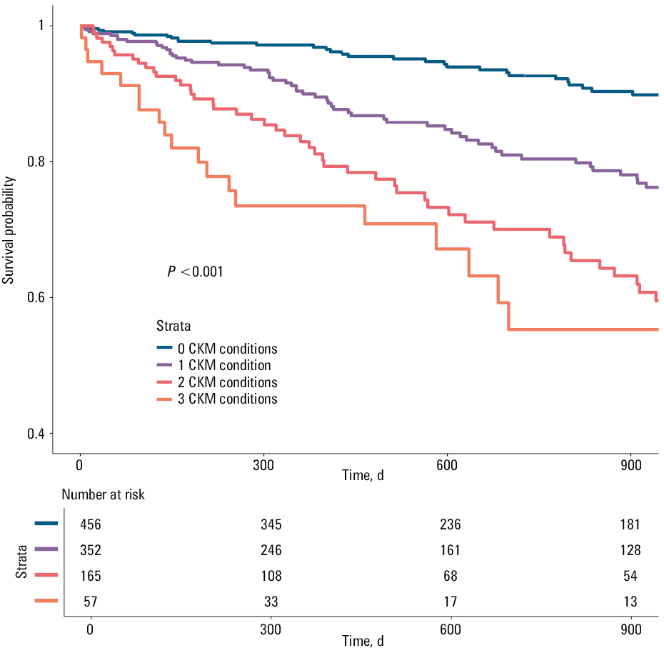 Interaction analysis of the risk of the primary outcome according to the cardiovascular-kidney-metabolic (CKM) status; A – results of the interaction analysis for categorical variables; B – age modeled as a continuous variable showed a progressive, linear association with adverse events (P <⁠0.001; P for nonlinearity = 0.14), but no significant interaction was found with the CKM status (P for interaction = 0.27). C – BMI was not independently associated with risk (P = 0.13), and no interaction was found with the CKM status (P for interaction = 0.58), although patients with 2–3 CKM conditions consistently had higher risk across all BMI values. D – LAVi was markedly associated with the risk of primary end point (P <⁠0.001), with a nonlinear relationship (P for nonlinearity = 0.003), but no interaction was observed with the CKM status (P for interaction = 0.49).Abbreviations: see Tables 1, 2, and 3
