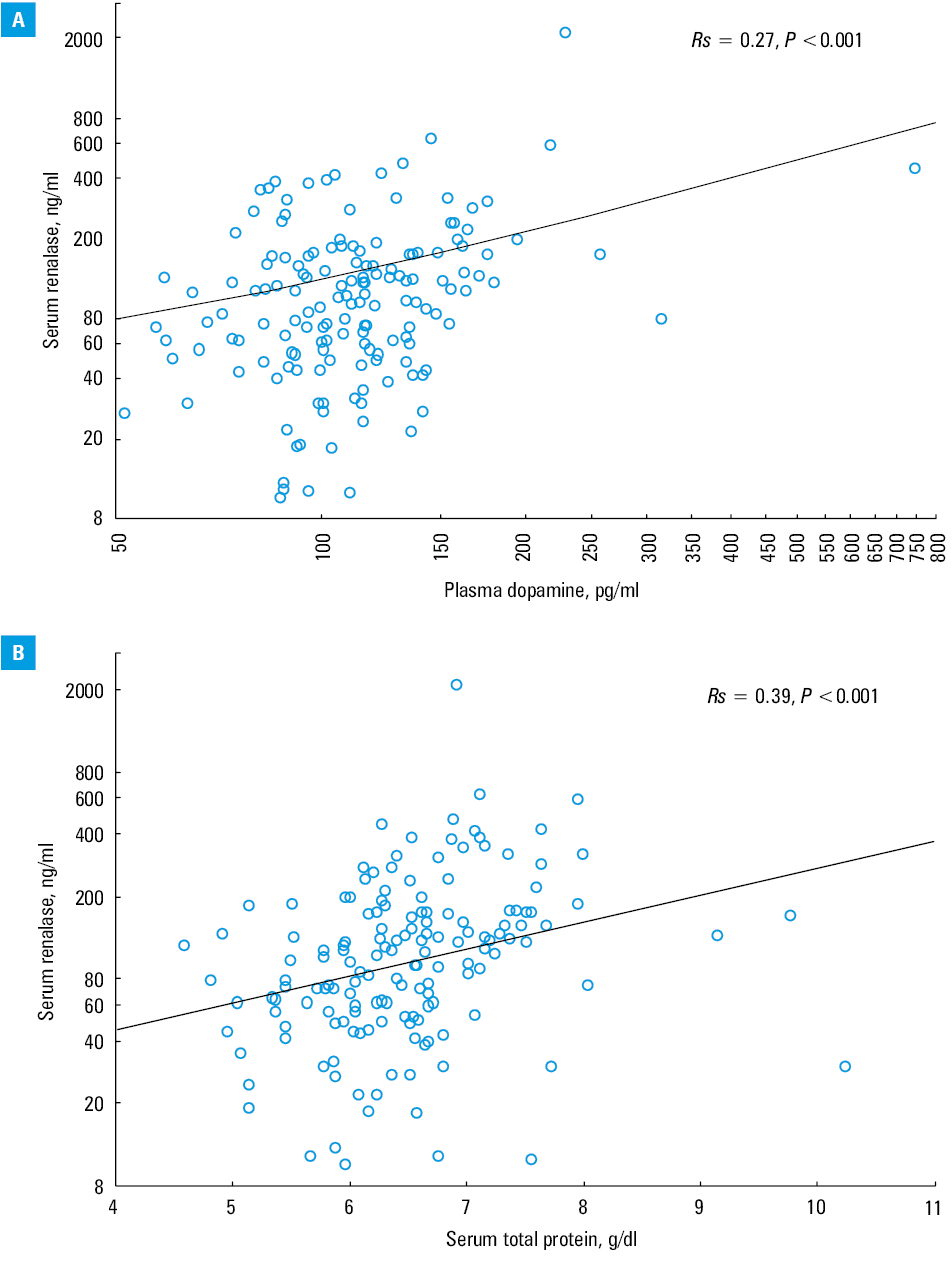 Correlations between: A – serum renalase and plasma dopamine levels; B – serum renalase and serum total protein levels