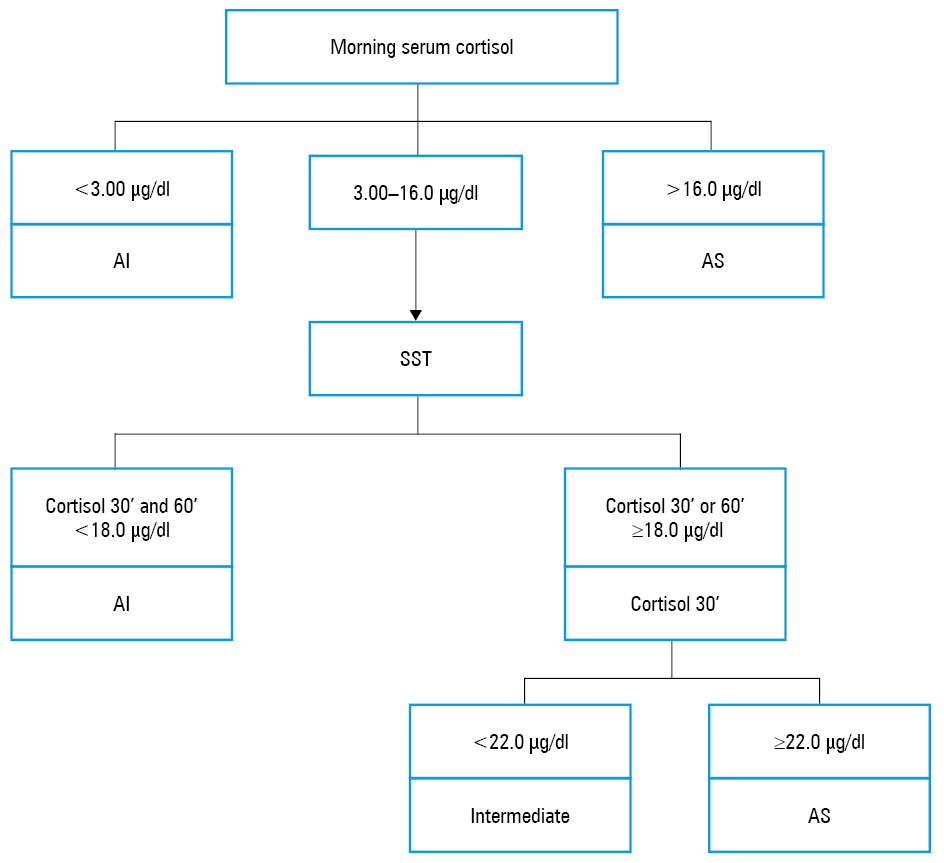Study flowchart. Data are presented as number (percentage).Abbreviations: see Figure 1and Table 1