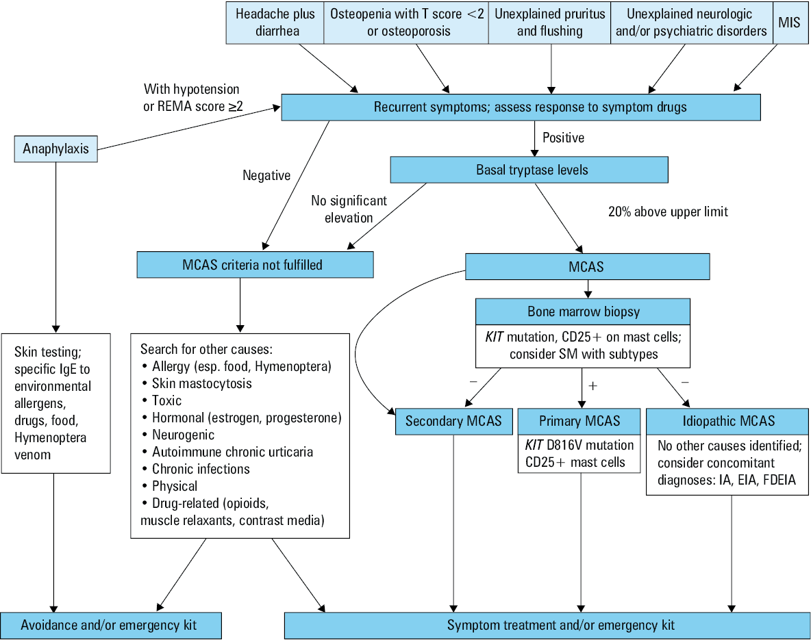 Main genetic mutations and epigenetic changes observed in mastocytosisAbbreviations: IL-6, interleukin 6; MAPK, mitogen-activated protein kinase; MC, mast cell; MITF, microphthalmia-associated transcription factor