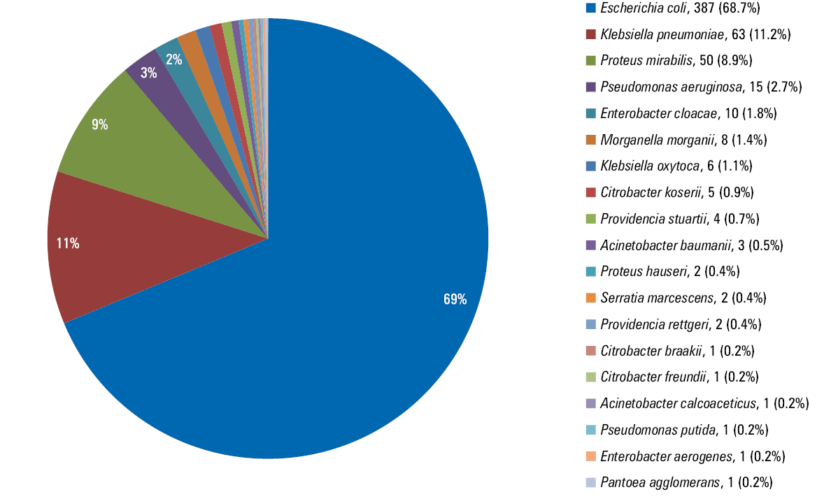 Gram-positive bacterial species in the study population (24 species)
