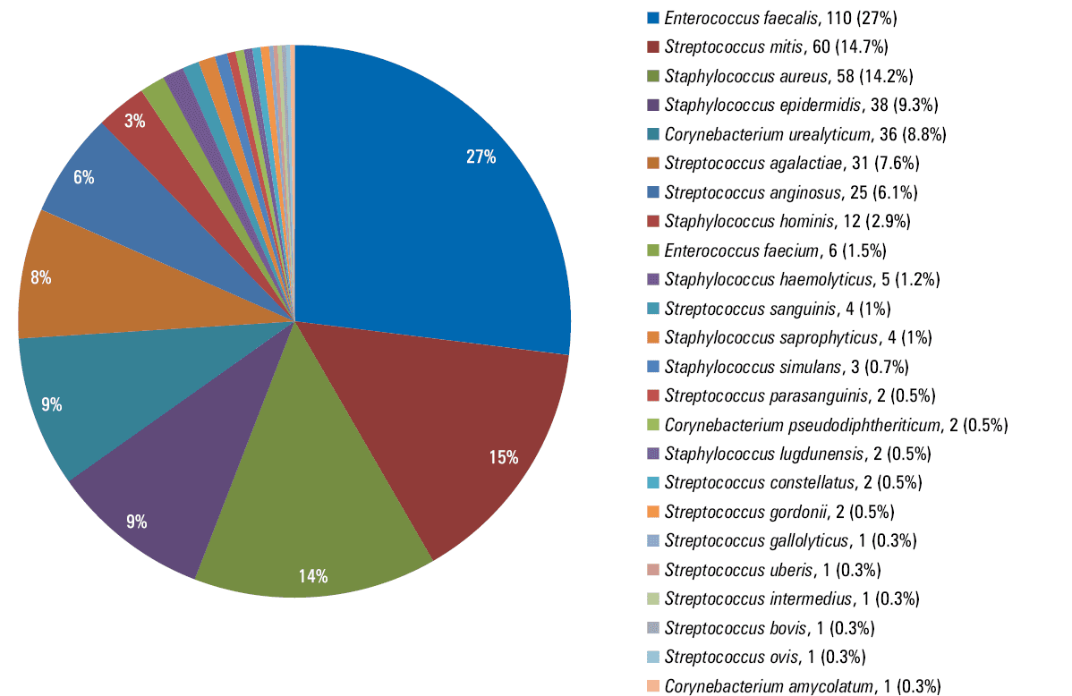 Susceptibility of the most frequent bacteria (constituting 74.5% of all identified microorganisms) to particular antibiotics