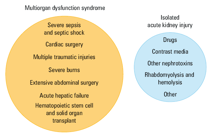 A stepwise approach for the recognition and management of acute kidney injuryAbbreviations: ACEIs, angiotensin-converting enzyme inhibitors; ARBs, angiotensin II receptor blockers; GCS, glucocorticosteroids; HUS, hemolytic uremic syndrome; NSAIDs, nonsteroidal anti-inflammatory drugs; RBF, renal blood flow; RPF, retroperitoneal fibrosis; TLS, tumor lysis syndrome; TTP, thrombotic thrombocytopenic purpura; USG, ultrasonography