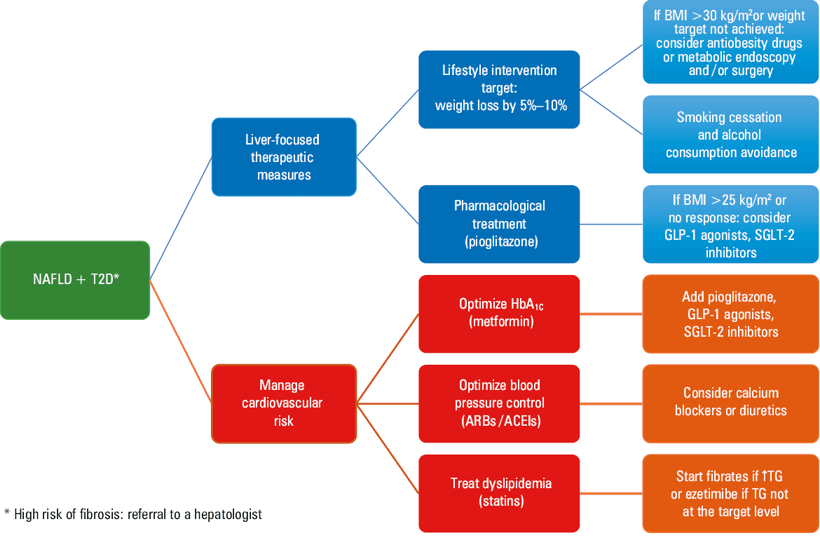 The recommended management of type 2 diabetes in the nonalcoholic fatty liver disease scenarioAbbreviations: eGFR, estimated glomerular filtration rate; others, see figure 1
