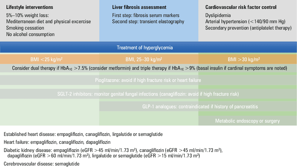 Dietary treatment according to macronutrient composition in the treatment of nonalcoholic fatty liver disease and type 2 diabetesAbbreviations: CHO, carbohydrates; MUFA, monounsaturated fatty acid; PUFA, polyunsaturated fatty acid