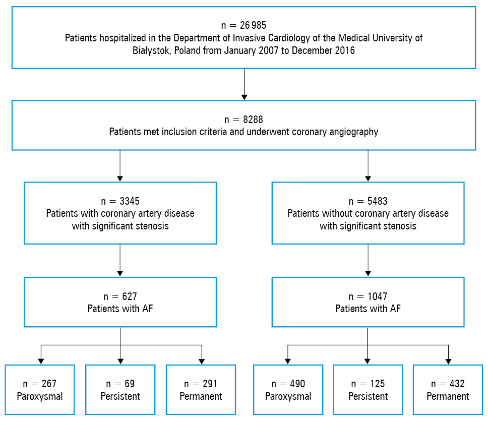 Multivariable logistic regression analysis of nonsignificant lesions in the coronary artery. Data are presented as odds ratios and their 95% CI.Abbreviations: CHF, chronic heart failure; CKD, chronic kidney disease; DM, diabetes mellitus; HA, hypertension; HDL, high-density lipoprotein; HL, hyperlipidemia; others, see Figure 1 and Table 2