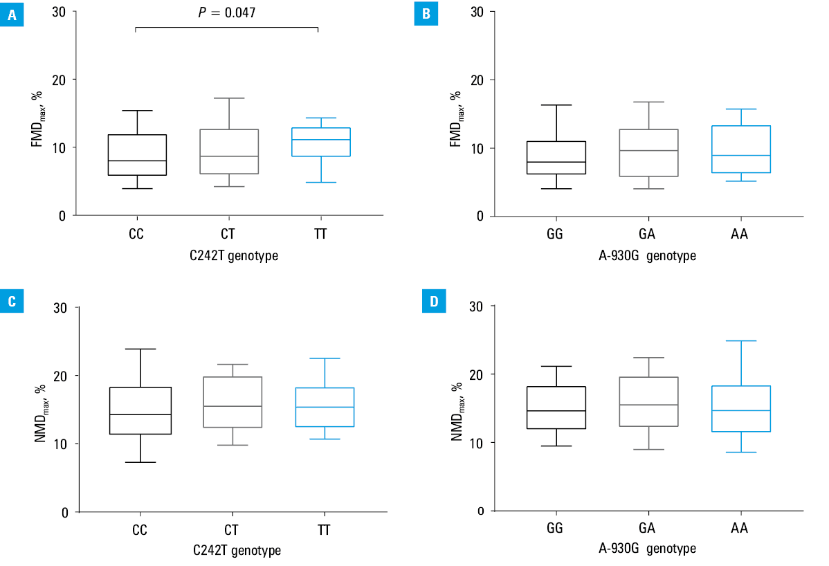Association of the C242T (A and C) and A-930G (B and D) CYBA polymorphisms with von Willebrand factor (vWF; A and B) and malondialdehyde (MDA; C and D) levels. Boxes represent 25%–75%, while whiskers represent 10%–90% of the vWF or MDA level values.