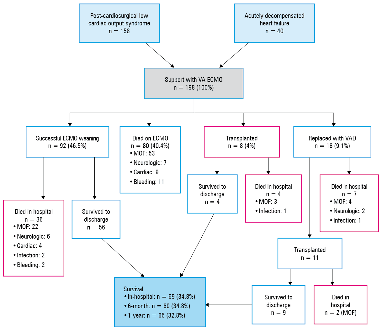 Main causes of acute cardiac injury in patients with no prior history of cardiovascular pathology (n = 53)Abbreviations: AAS, acute aortic syndrome; ACS, acute coronary syndrome; CABG, coronary artery bypass grafting; CS, cardiogenic shock; HF, heart failure; VSD, ventricular septal defect