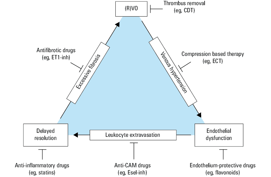 Proposed role of factors influencing clot structure in the development of post-thrombotic syndrome. Adapted from Undas A with permission from the author.
Abbreviations: PTS, post-thrombotic syndrome; others, see Figure 1