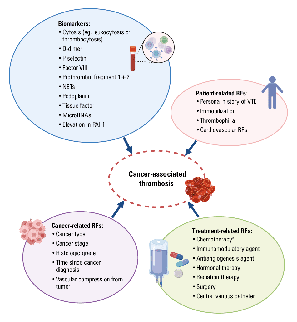 Overview of risk assessment models for venous thromboembolism in newly diagnosed multiple myeloma (generated with BioRender.com)
a Low-dose dexamethasone (<480 mg/mo)
b High-dose dexamethasone (>480 mg/mo)
Abbreviations: CVC, central venous catheter; IMiD, immunomodulatory agent; LMWH, low-molecular-weight heparin; MM, multiple myeloma; mo, month; others, see Table 1 and Figure 1
