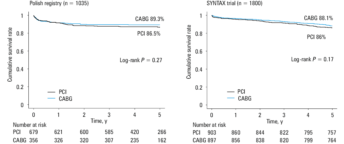 Top prognostic factors detected by the least absolute shrinkage and selection operator (LASSO) regression for predicting 5-year death in the Polish registry. Best λ was calculated based on the cross-validation method.
Abbreviations: PVD, peripheral vascular disease; others, see Table 1