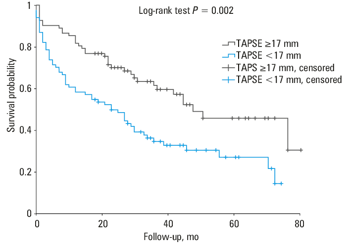 The Kaplan–Meier survival analysis according to tricuspid annular plane systolic excursion / systolic pulmonary artery pressure (TAPSE/SPAP) ratio