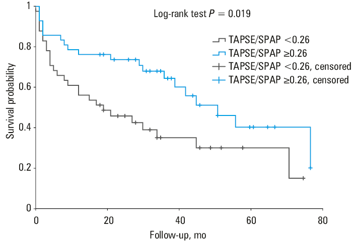 The Kaplan–Meier survival analysis according to right atrial area (RAA)