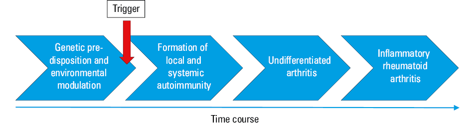 Various preclinical forms of rheumatoid arthritis (RA) and their rates of progression to clinically apparent RA.
Abbreviations: ACPA, anti–citrullinated protein antibody; MRI, magnetic resonance imaging; PPV, positive predictive value; RF, rheumatoid factor