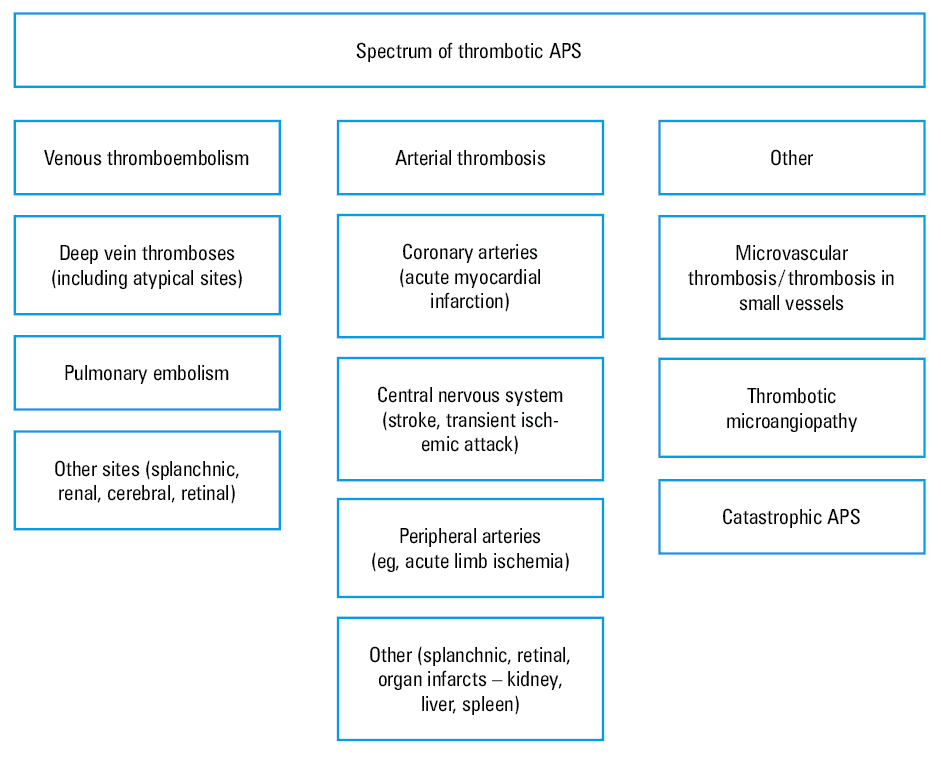 Risk stratification for venous and arterial thrombosis according to the new classification criteria for antiphospholipid syndrome. The definitions for each factor are detailed in the published paper (adapted from).Abbreviations: CVD, cardiovascular disease; DBP, diastolic blood pressure; eGFR, estimated glomerular filtration rate; LDL-C, low-density lipoprotein cholesterol; SBP, systolic blood pressure; VTE, venous thromboembolism