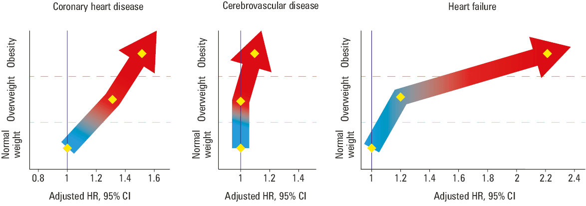 Pathophysiological pathways linking obesity, metabolic dysfunction, and cardiovascular diseaseAbbreviations: CRP, C-reactive protein; IL, interleukin; MCP, monocyte chemoattractant protein; RAA; renin-angiotensin-aldosterone; TNF-α, tumor necrosis factor α