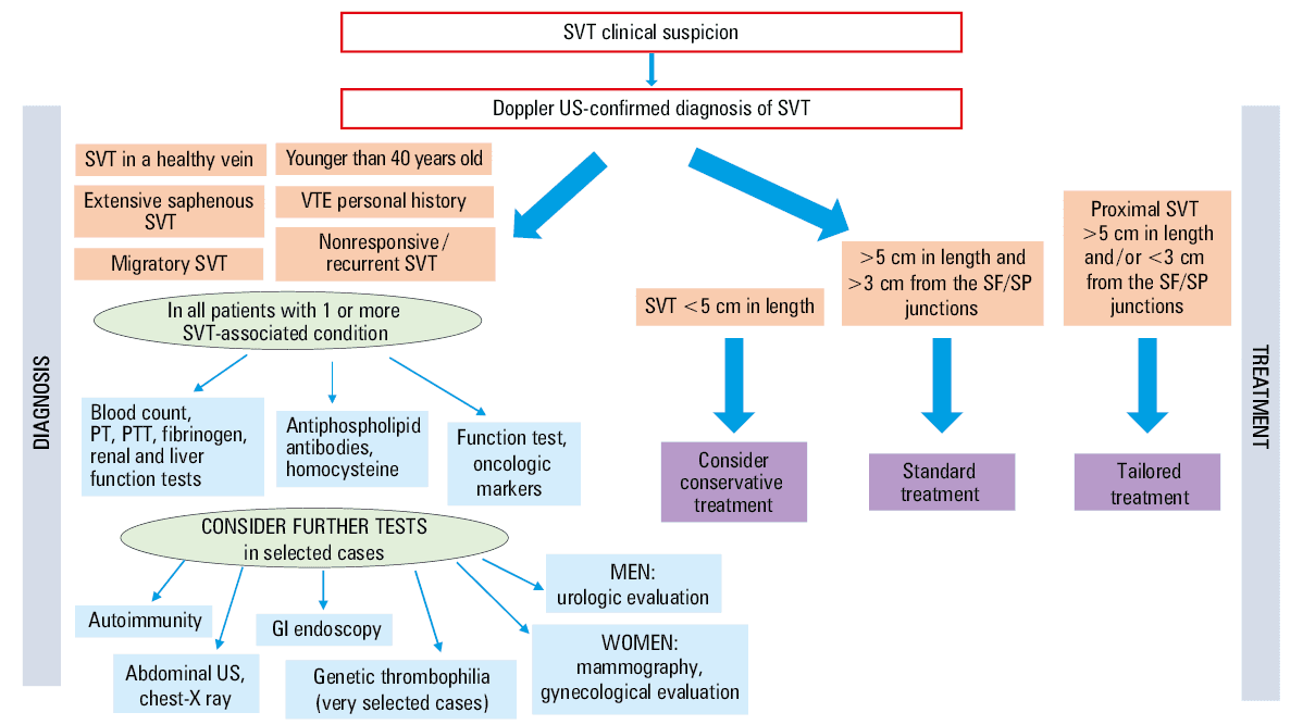 Proposal for a more standardized and comprehensive approach to nonstandard superficial vein thrombosis