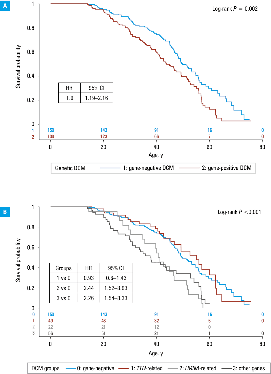 Survival without heart transplantation or left ventricular assist device implantation according to genetic background: A – gene-positive vs gene-negative dilated cardiomyopathy (DCM); B – DCM related to variants in the TTN gene (group 1), LMNA gene (group 2), other genes (group 3), and gene-negative DCM (group 0)Abbreviations: see Table 1 and Figure 2