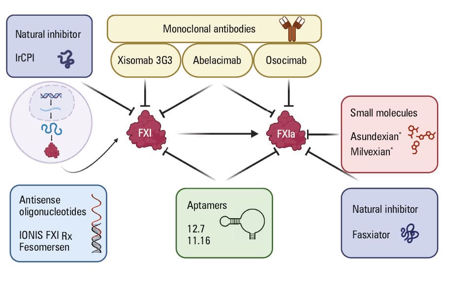 Safety end point (grade 2, 3, or 5 bleeding according to the Bleeding Academic Research Consortium) and efficacy end point (recurrent myocardial infarction, in-stent thrombosis, stroke, or cardiovascular death) in the phase 2 PACIFIC AMI study