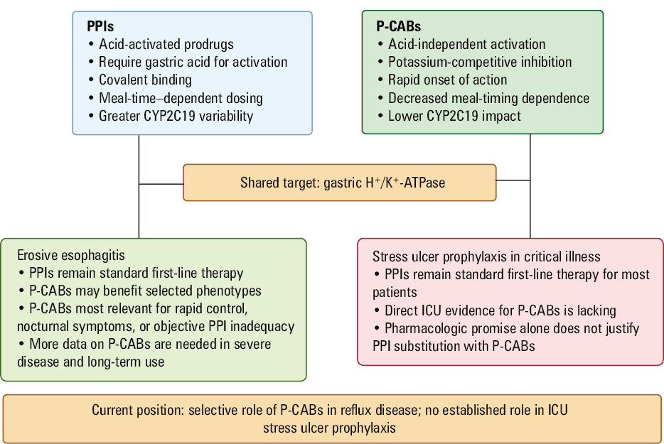 Proposed practical clinical positioning of P-CABs vs PPIs in erosive reflux disease and stress ulcer prophylaxis
Abbreviations: EU, European Union; LA, Los Angeles; others, see Figure 1 and Tables 1 and 2